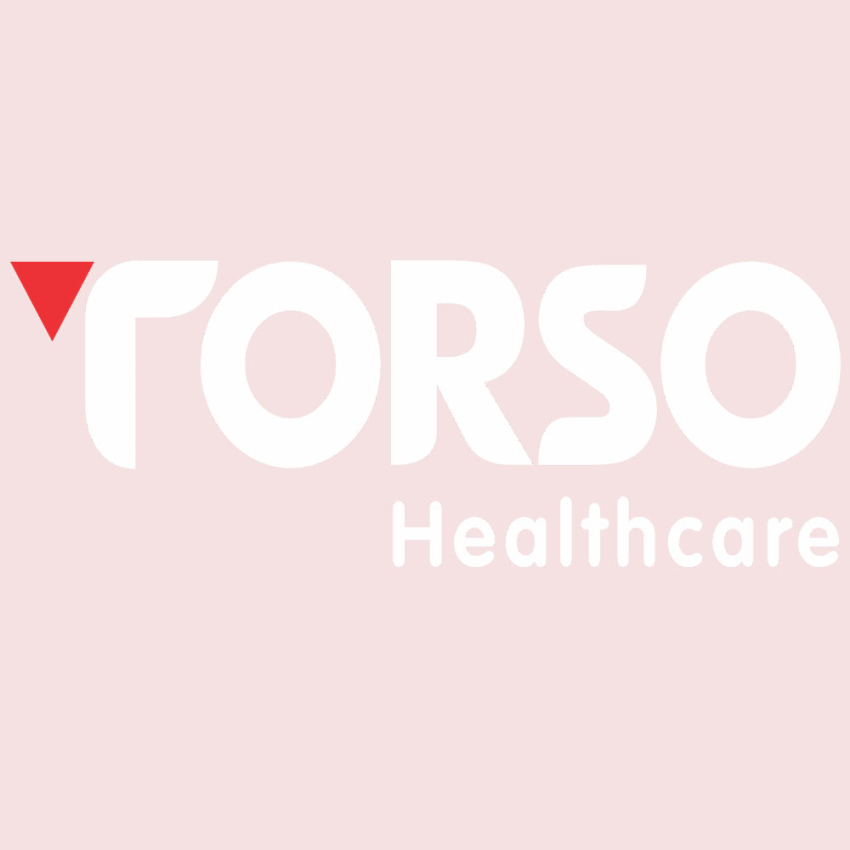Torso Healthcare Baddi Logo