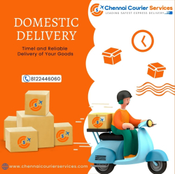 Best Domestic Courier Services In Sembakkam Photo