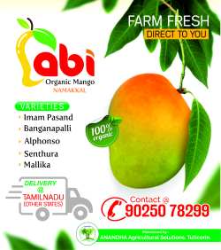 Abi Mangoes Is A One Of The Best Online Natural  Photo