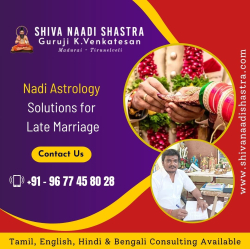  Nadi Astrology Consultant - Shiva Naadi Shastra Photo